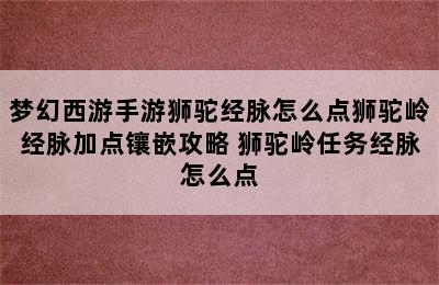 梦幻西游手游狮驼经脉怎么点狮驼岭经脉加点镶嵌攻略 狮驼岭任务经脉怎么点